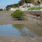 São Luís: corpo de jovem de 18 é encontrado no