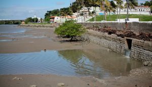 São Luís: corpo de jovem de 18 é encontrado no