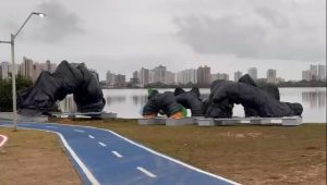 Serpente “Lulu” retorna restaurada e com novidades tecnológicas