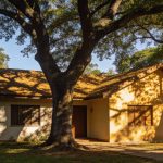 Sua casa pode ficar mais fresca só com a ajuda