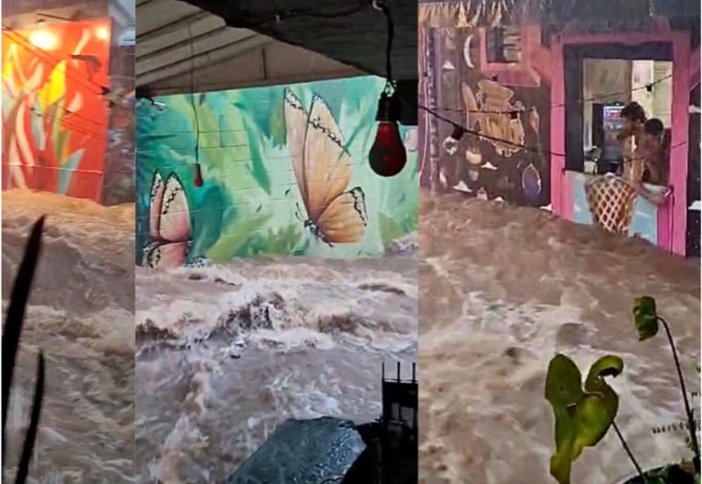 Tarcísio propõe corte de 60% na verba de combate a