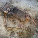 Túmulo da era viking revela ritual de sepultamento inédito
