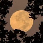 Última Superlua de 2025 ilumina o céu esta semana