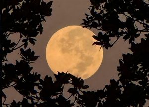 Última Superlua de 2025 ilumina o céu esta semana