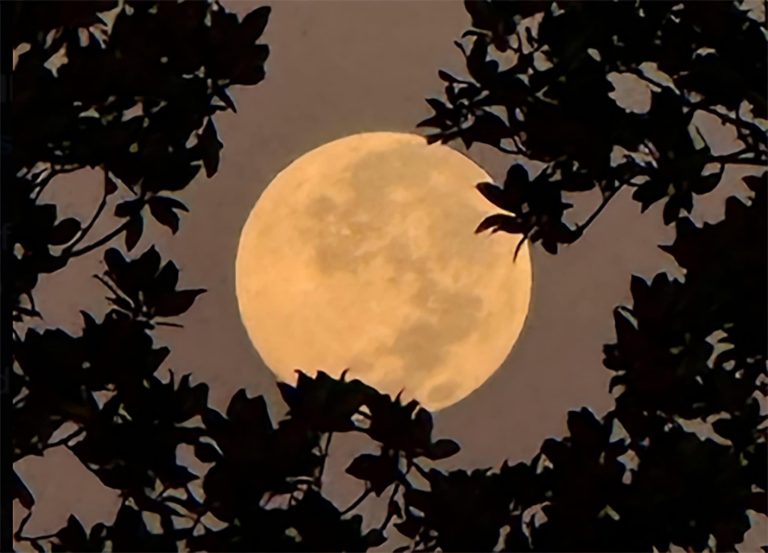 Última Superlua de 2025 ilumina o céu esta semana