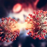 Unifesp identifica mecanismo que enfraquece defesa celular contra a Covid-19