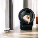 A caixa de areia inteligente que avisa pelo celular se