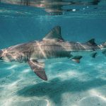 A ciência explica por que o medo que desenvolvemos de