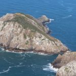 A ilha brasileira que abriga o mamífero mais raro do