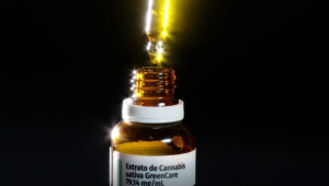 Anvisa aprova cultivo de cannabis por empresas e amplia acesso