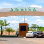 Anvisa suspende venda de glitters e folhas de ouro de
