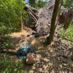 Após depoimento de criança, cães farejadores apontam passagem de crianças