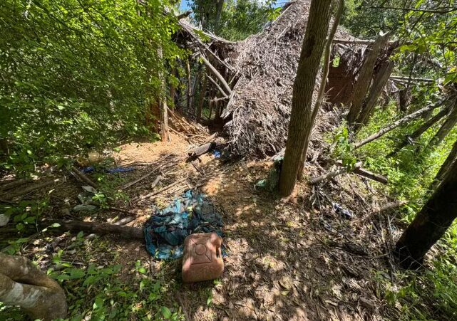 Após depoimento de criança, cães farejadores apontam passagem de crianças