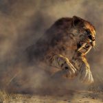 Armas perfeitas, espécies extintas: por que os predadores de dentes