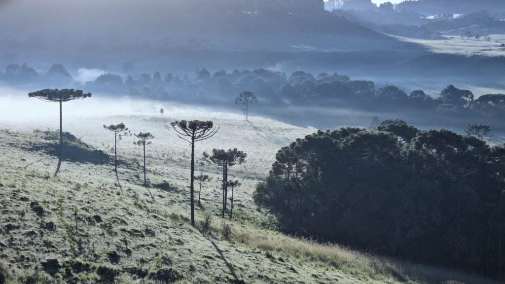 Brasil “assa” no calor e cidade de SC tem geadas