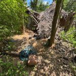 Cães farejadores confirmam passagem de irmãos desaparecidos em abrigo na