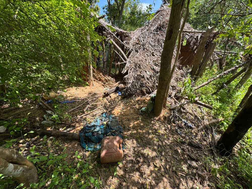 Cães farejadores confirmam passagem de irmãos desaparecidos em abrigo na