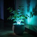 Ciência cria plantas que iluminam a casa à noite