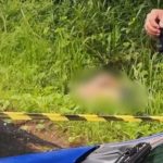 Corpo com múltiplas perfurações é encontrado em área de vegetação