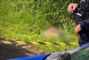 Corpo com múltiplas perfurações é encontrado em área de vegetação