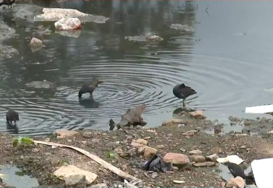 Deputadas denunciam Sabesp ao MP por despejo de esgoto na