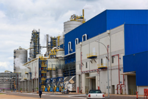 Economia: Maranhão supera restante do país no 3º trimestre de