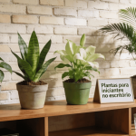 Essas plantas viraram aliadas silenciosas de quem trabalha em escritórios