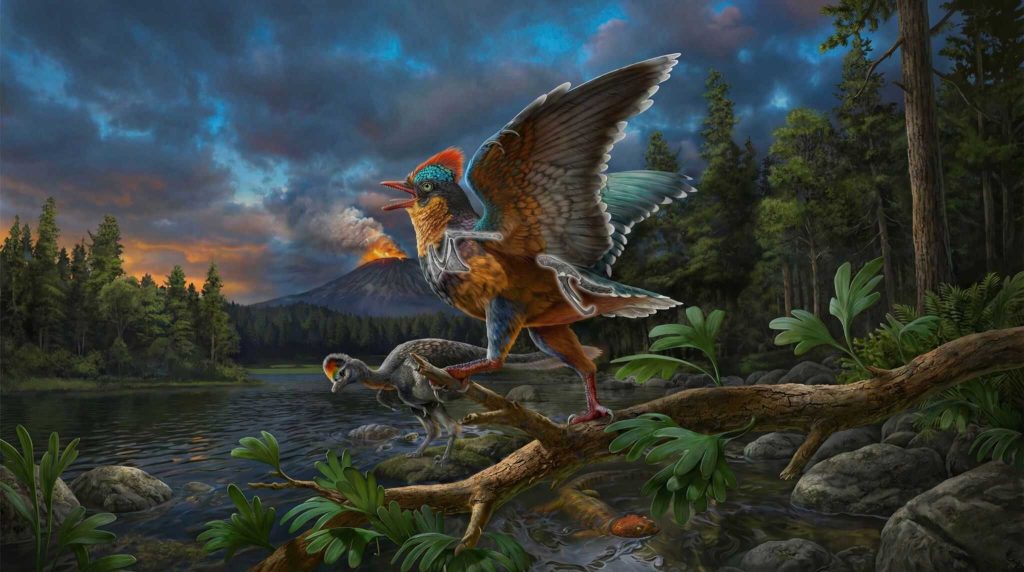 Evolução dos pássaros é mais antiga e complexa do que