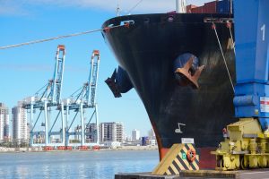 Exportações catarinenses batem recorde de US$ 12,19 bi em 2025