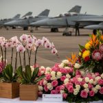 FAB destina R$ 413 mil para flores e orquídeas enquanto