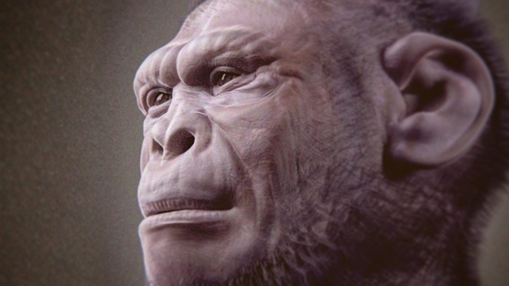 Fóssil de 2 milhões de anos pode ser o mais