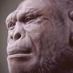 Fóssil de 2 milhões de anos pode ser o mais