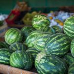 Goiás bate recorde e consolida liderança na produção de melancia