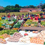 Governo federal publica desapropriação de 5,7 mil hectares para a