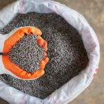 Importações de fertilizantes batem recorde no Brasil e reforçam desempenho