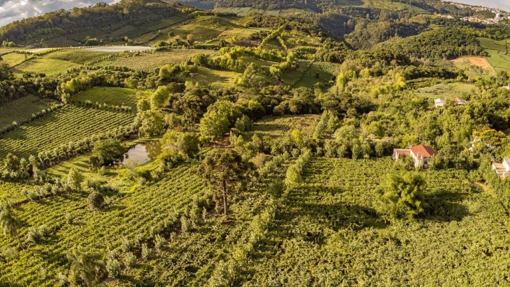 Infraestrutura inteligente e clima europeu integram o cotidiano do Vale