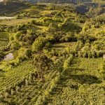 Infraestrutura inteligente e clima europeu integram o cotidiano do Vale