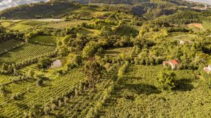 Infraestrutura inteligente e clima europeu integram o cotidiano do Vale