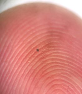 Menor que um grão de sal: conheça o menor robô