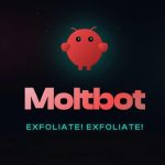Moltbot: o agente de IA que viralizou por ‘realmente fazer