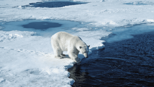 O Ártico entra em uma “nova era” de extremos climáticos