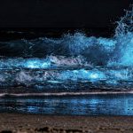 O fenômeno natural que transforma as ondas do mar em