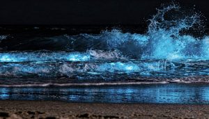 O fenômeno natural que transforma as ondas do mar em