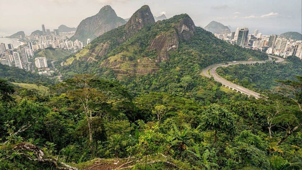 O maior sucesso de “Bio-Engenharia” do planeta fica no Brasil