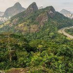 O maior sucesso de “Bio-Engenharia” do planeta fica no Brasil