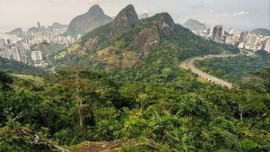 O maior sucesso de “Bio-Engenharia” do planeta fica no Brasil