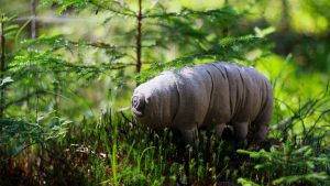 O que são animais extremófilos e como eles desafiam os
