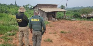 PF prende suspeito de assassinato de parceiro do Ibama na