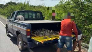 Polícia Civil prende dois homens em flagrante por depredação de