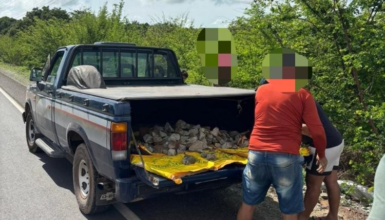 Polícia Civil prende dois homens em flagrante por depredação de